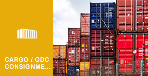 freight forwarding Spijkenisse